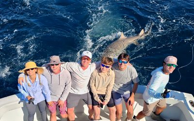 Weekly Fort Lauderdale Fishing Report – South Florida – Week of September 15, 2026 | Don’t Tell Mom Sportfishing